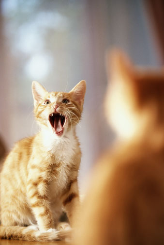 Ahhhhhhhhhhh la journée de fou !